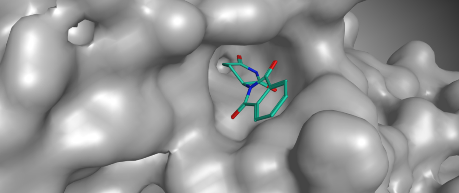 Die Grafik stellt dar, wie Thalidomid an das Protein-Molekül Cereblon andockt